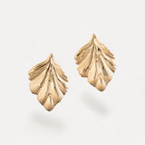 Orecchini Foglia Scultorea - Oro
